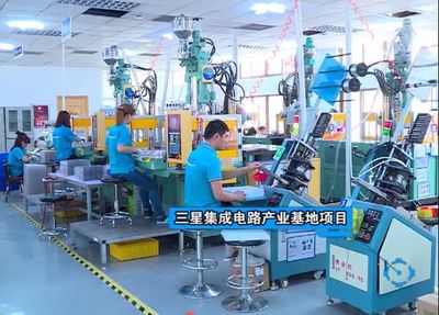 市領導調研文登，走訪家電企業共話發展